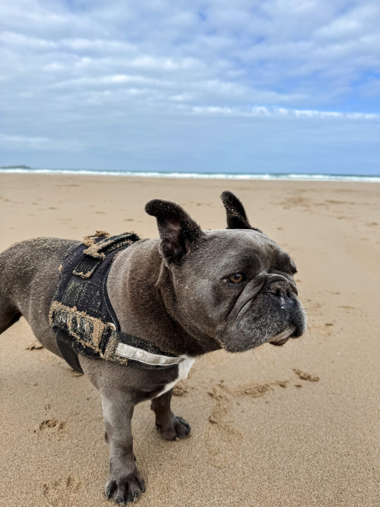 Mawgan Porth beach